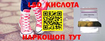 гидра Тулун
